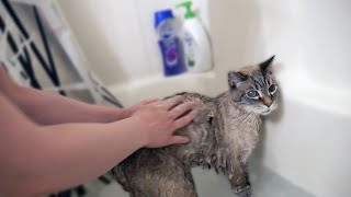 Bathing Grandpa