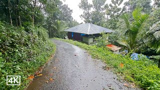 Rain Walk in the Beautiful Hilly Village of Kerala India | Sound of rain gives an instant deep sleep