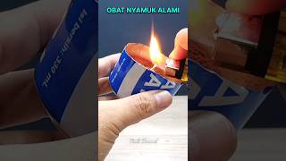 Obat pengusir nyamuk alami yang jarang diketahui #diy