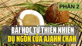 Bài học từ thiên nhiên: Dụ ngôn của Ajahn Chah - Phần 2