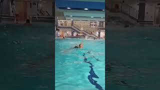 #calisthenics #youtubeshorts #shortvideo #youtube #shorts #swimming