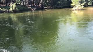 Merced River water level at Swinging Bridge in Yosemite (Short Clip)