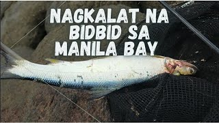 HALANG BREAKWATER MANILA BAY FISHING SPOT