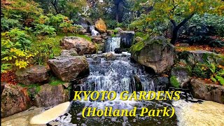 Holland Park & The KYOTO GARDENS. Kensington and Chelsea, London. Walk-through, 4k.