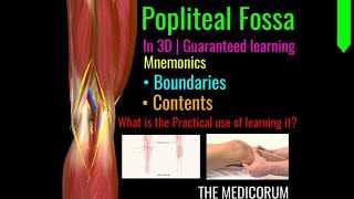 POPLITEAL FOSSA ANATOMY