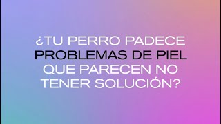 ¿Tu perro padece de alergias y problemas de piel que parecen no tener solución?