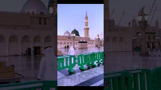 یا رسول اللہ ﷺ تیرے در کی فضاؤں کو سلام/ #trending #viralsho