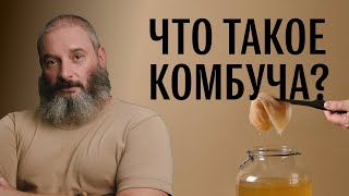 Полезен ли чайный гриб (комбуча)? Михаил Вишневский