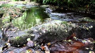 Stock Footage - Mountain Stream 32 | VideoHive