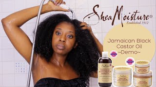 Demo| Shea Moisture's Jamaican Black Castor Oil Range