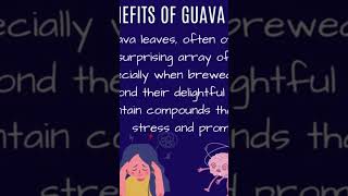 The Surprising Stress Relief Benefits of Guava Leaf Tea#shorts