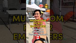 🇨🇦 MUSHROOM PICKER Employers Willing to Sponsor Foreign Workers