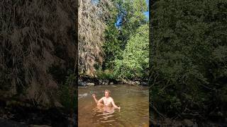 Perfect summer dip! 🩵 #summer #river #dip #sweden #nature #beautiful