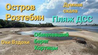 Остров Розтебин. Пляж ДСС. Обмелевший берег острова Хортица. Олень и косуля.