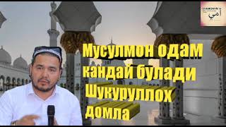 Мусулмон одам кандай булади Шукуруллох домла Musilmon odam kandae buladi Shukurulloh domla