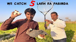 we catch 5 lakh ka parinda 😍 new pet vlog