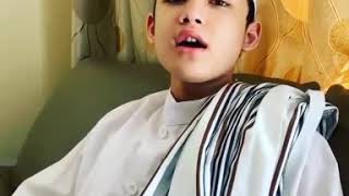 Gema takbir Habib alwiassegaf (Minal aizdin walfaizdin)