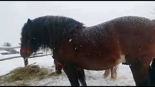 Советский тяжеловоз! Красота, мощь и спокойствие!