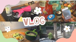 Vlog:Pulizie,svuota la spesa e nuovi lavori in casa.#pulizietime #motivationalcleaning