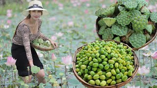 Pick and cook fresh Lotus seed in my Country - Polin lifestyle