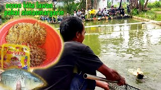 Racikan umpan ikan mas coklat amis special frovita, no essense