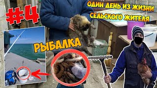 Жизнь в селе.Кирилловка - летом курорт, а весной работа. Заготовка корма и рыбалка на Азовском море.