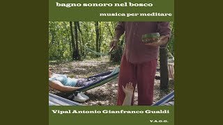 Bagno sonoro nel bosco