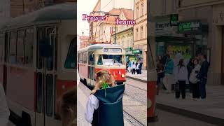 Sighteseeing Prague. Tram 23 in Prague. Europe Travel 2024 #prague #shortvideo #shorts #shortsvideo