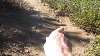 Trail Wisdom videos 005