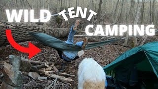 Solo Tent Camping With a Dog in the Hyke and Byke Zion Tent