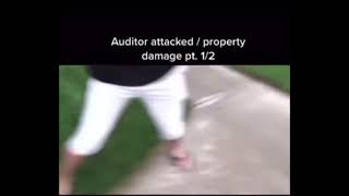 Auditor attacked/property damage meme