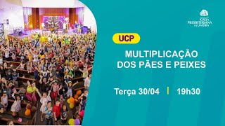 UCP - IP Limeira |