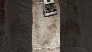 Lava Alfombras Koblenz The Cleaning Machine