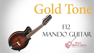 Gold Tone F12 -  גיטרה מנדולינה 12 מיתרים