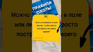 Можно ли выехать в поле или лес чтобы пострелять из своего оружия? #мужскаякаморка  #shorts