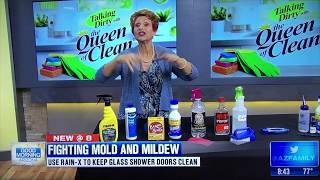 MOLD AND MILDEW - Queen of Clean on TV