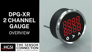 DPG XR 2-Channel Digital Temperature Gauge Overview