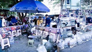 Pasar Ikan Hias Jatinegara - Jatinegara Ornamental Fish Market - Jakarta - Indonesia