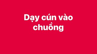 Dạy cún vào chuồng