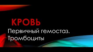 Физиология. Глава 4. Кровь. Первичный гемостаз. Тромбоциты