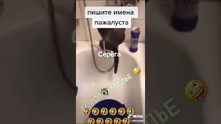 Котопохмелье😂😂🤣🤣