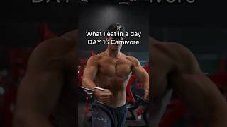 Day 16 of carnivore diet