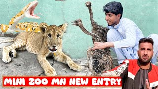 mini zoo mn new entry (mini zoo pet house new vlog) || Pet Vlogging in Hindi