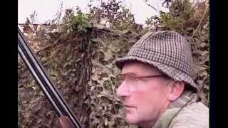 Sporting Pigeon Shooting Summer