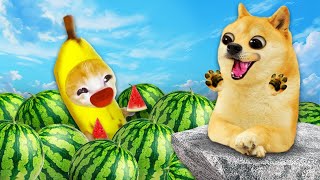 Banana Cat and the Watermelon | Unexpected Ending!! 🐱 Baby Banana Cat Compilation | Happy Cat MEME 😿