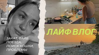 ЛАЙФ ВЛОГ // Поиски Кошки, Проблемы Делают Сильнее?