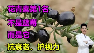 “花青素第1名”不是蓝莓，而是它！抗衰老、护视力，还有这5种也别错过~ #李医生谈健康