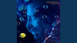 Aquarium (Radio Version)