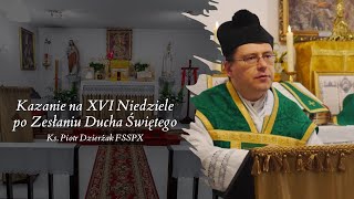 Niedoskonałość ziemi, doskonałość nieba: O ludzkiej i anielskiej egzystencji