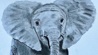 108. Drawing a “Baby Elephant” Commission 1 of 3 From Start to Finish